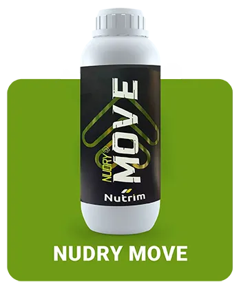 Embalagem de 1 litro Nudry Move