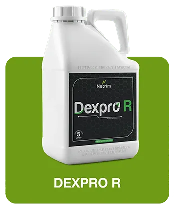 Embalagem de 5 litros Dexpro R